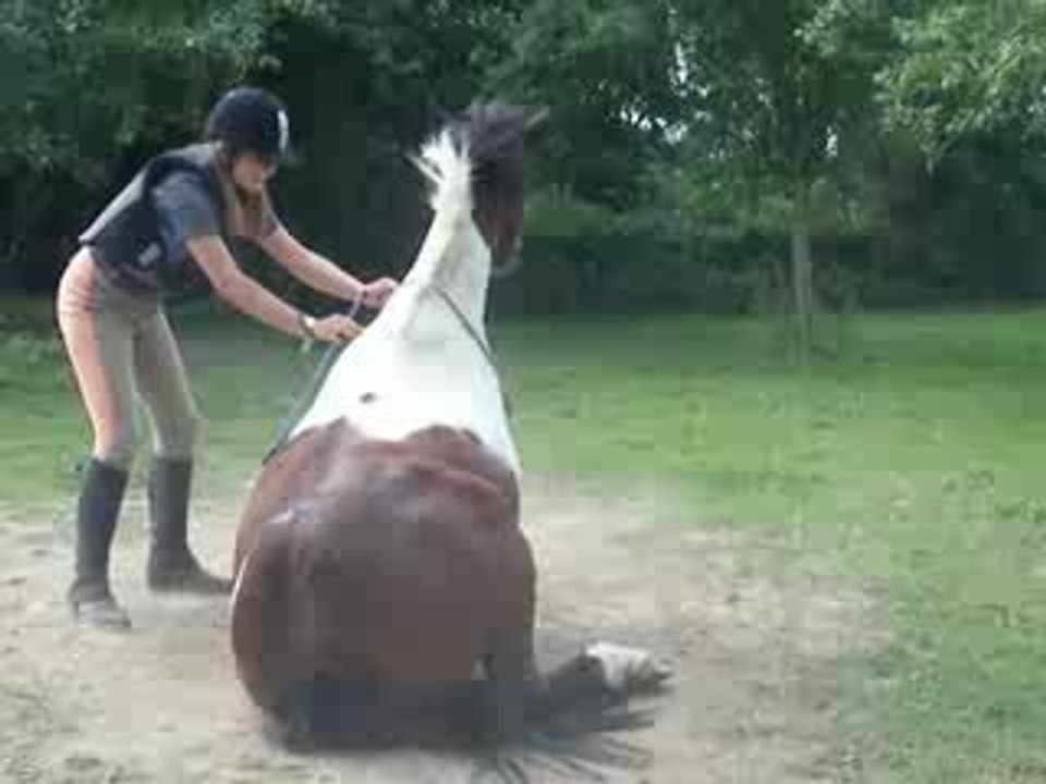 momo qui se couche