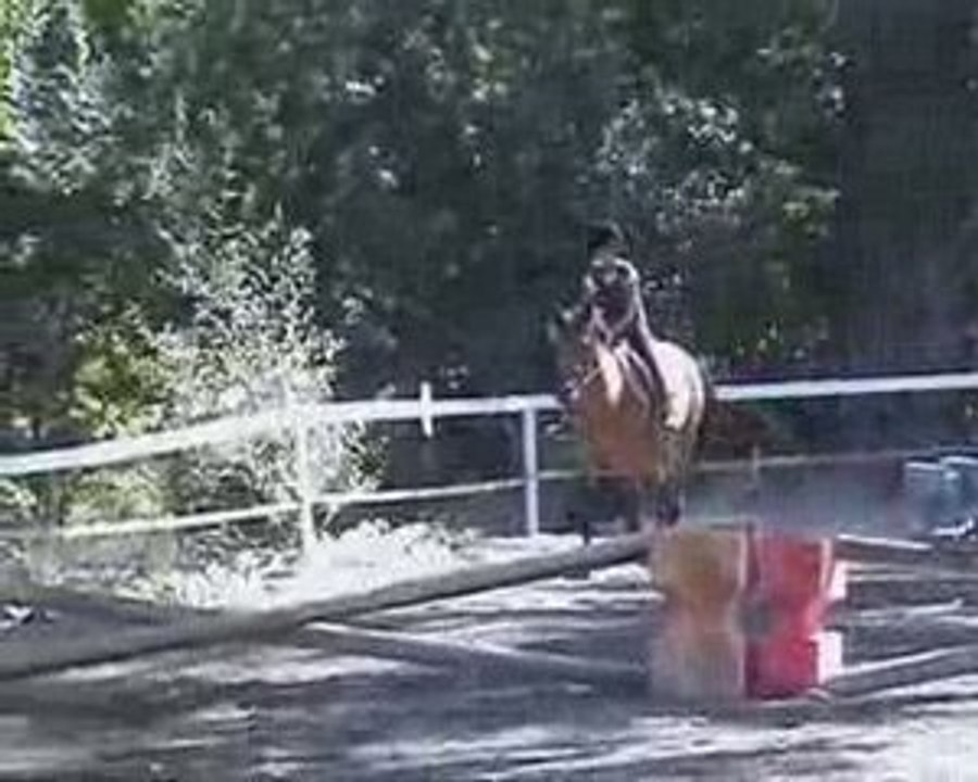cheval 2009_07_31_15_04_49