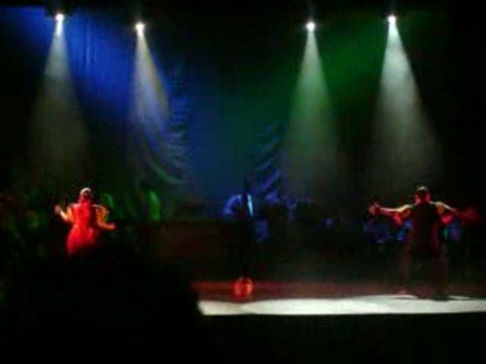 Festival Internacional del Folcklor 2009