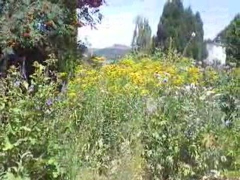 La Bourboule: Ville trois fleurs