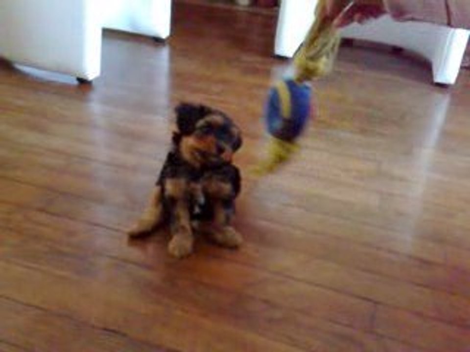 3eme video