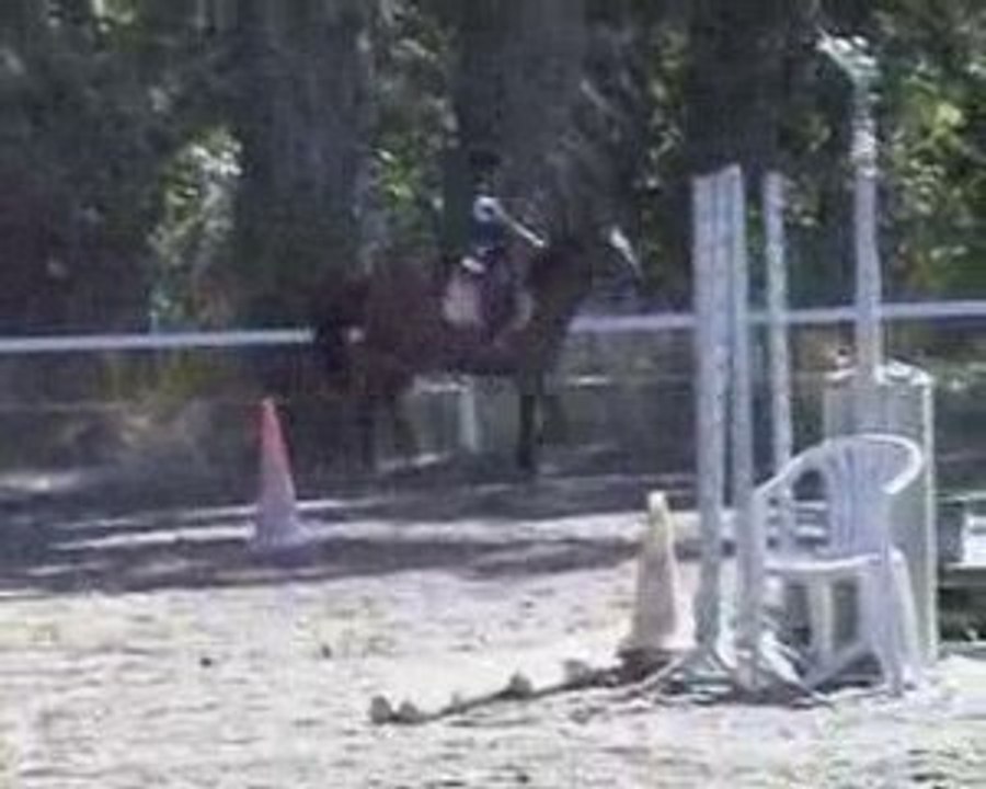 cheval 2009_07_31_14_58_54