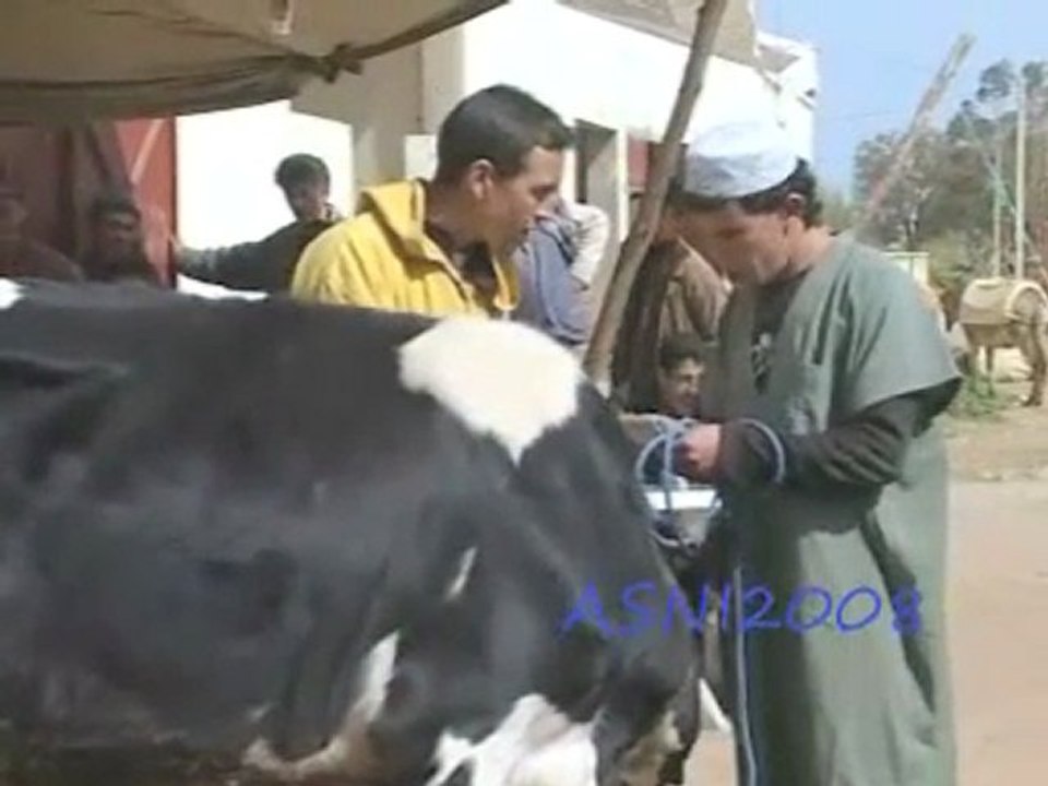 TANAOURTE V1 P2 NEW 2009
