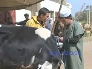 TANAOURTE V1 P2 NEW 2009