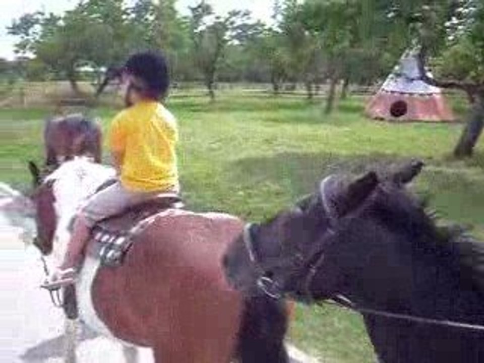 Transu du 22 juillet 2009