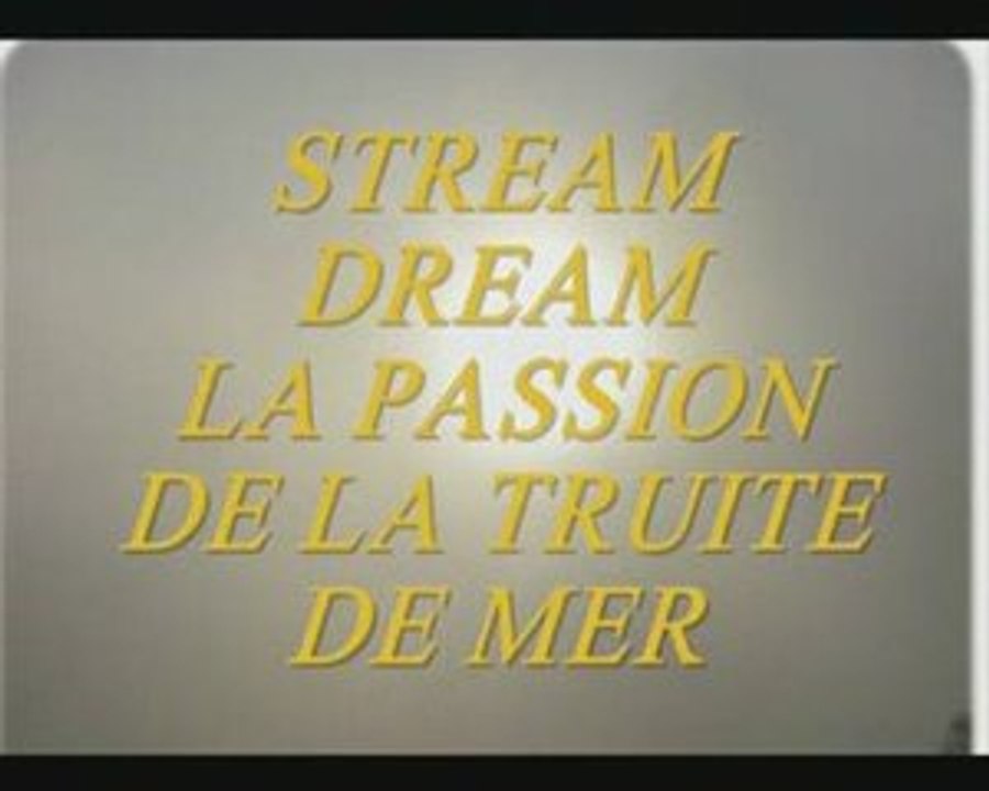 SDF CLIP ESSAI