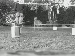 Chanelle en saut 1 mètre ♥