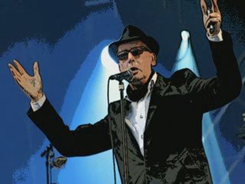 Il voyage en solitaire - alain Bashung ( gérard Manset )