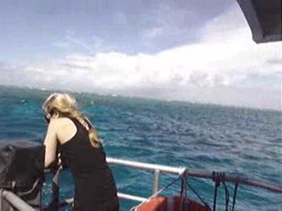 30 07 2009 - Lunch on Saxon reef (Great Barrier...