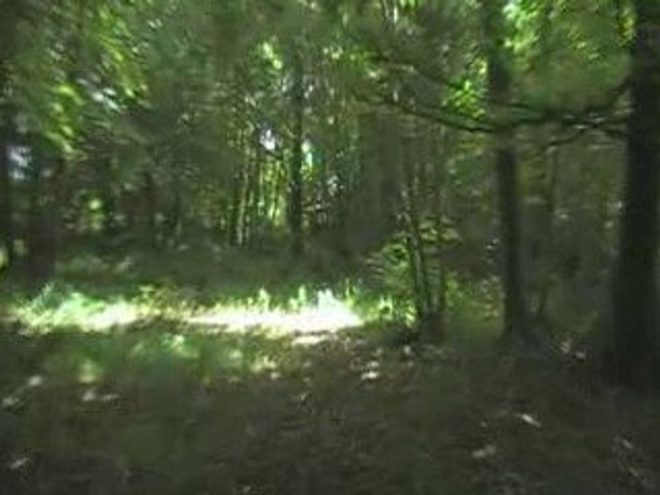 mine clemore a la meauffe pour ghost