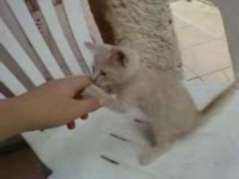 Vidéo0025