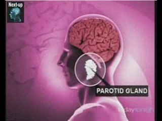 danger /!\ téléphone portable = cancer