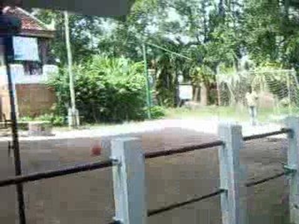 ELEPHANT DANSE TECTONIK JOUE O FOOT ET DUNK PHUKET