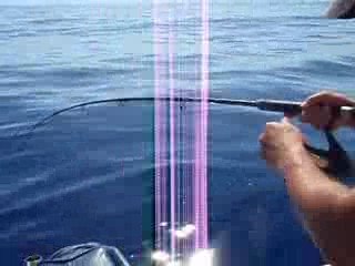 Saint pierre au  jig partie de peche sur Ajaccio Corse