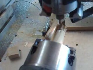 roue dentée bois