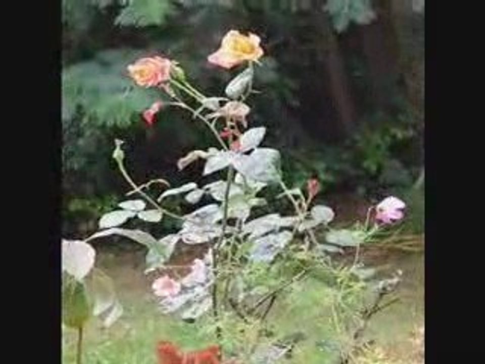 jour de pluie