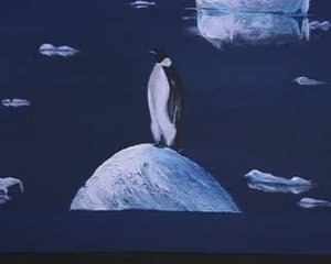 Jean-Pierre Leyris - Aquastoria - Deauville