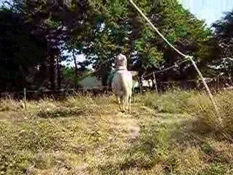 Sioux et Alice 2