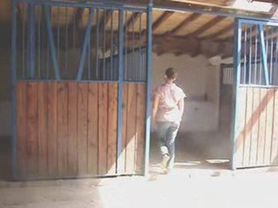 clip 1
