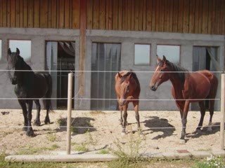 Joseph tu nous manques beaucoup