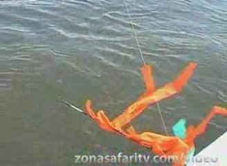 Concurso de Pesca para Periodístas en Paso de la Patria #9