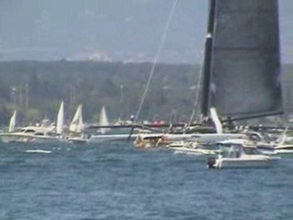 ALINGHI
