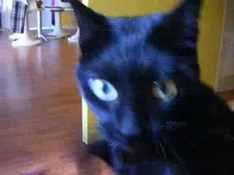 Anniversaire Toupie 2ans