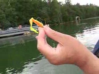 01.08.2009 KARISIK BALIK AVIM 025