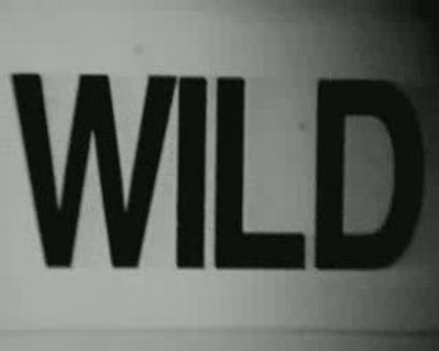 New Wild West