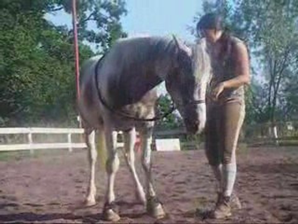 Quomanche - cirque
