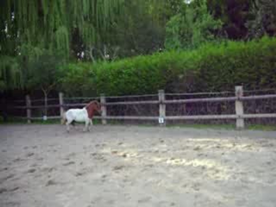 Prince qui saute <3 1ere fois a droite