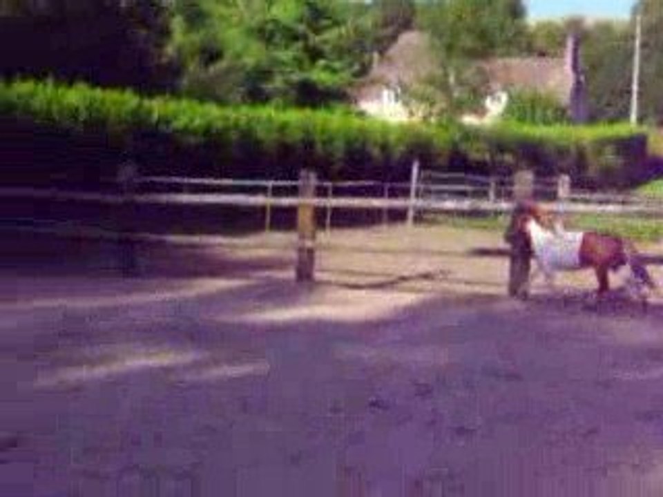 Prince qui passe a coter xD