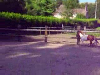 Prince qui passe a coter xD