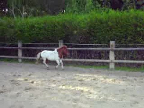 Prince qui saute, 2ieme saut a droite