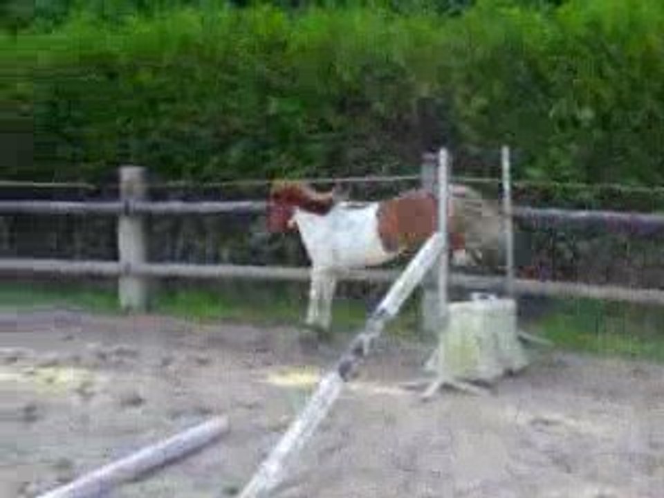 Premier saut a Gauche