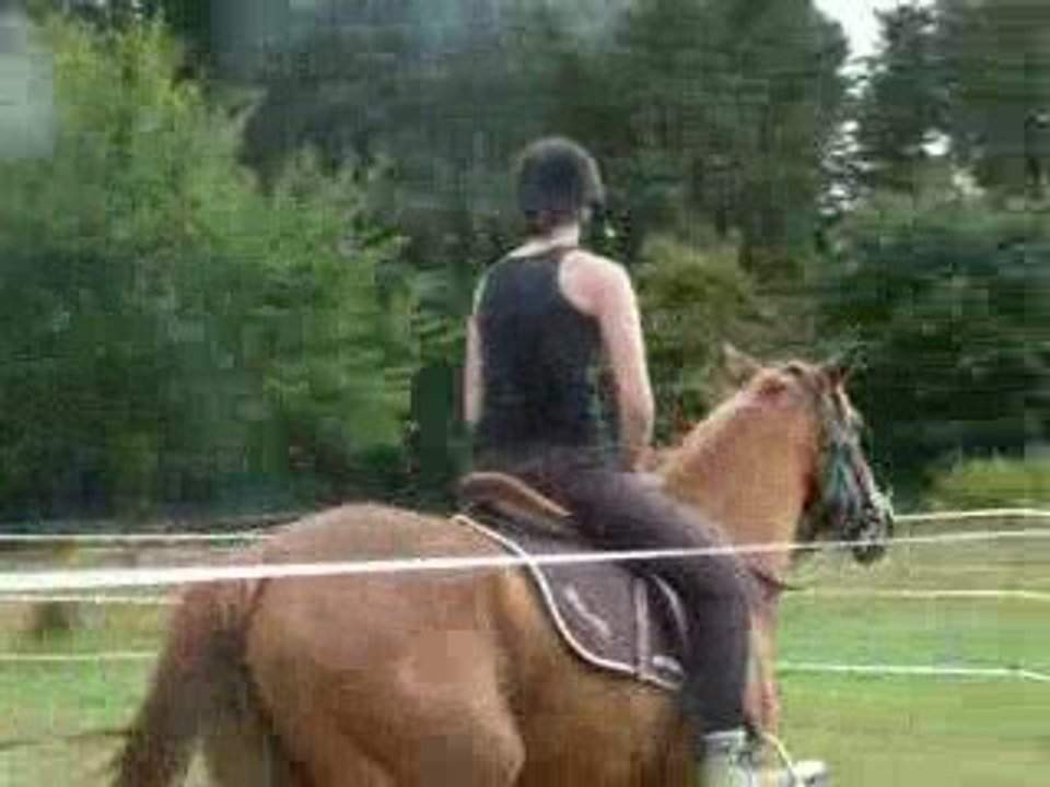 debourrage shiffoumi 3 trot enlevé+ toucher partout