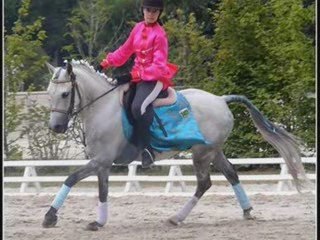 Saison 2008-2009 Krach