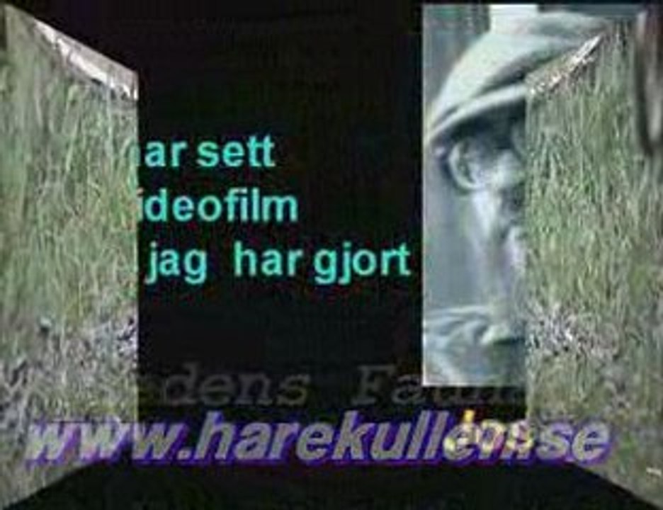 Grönfink