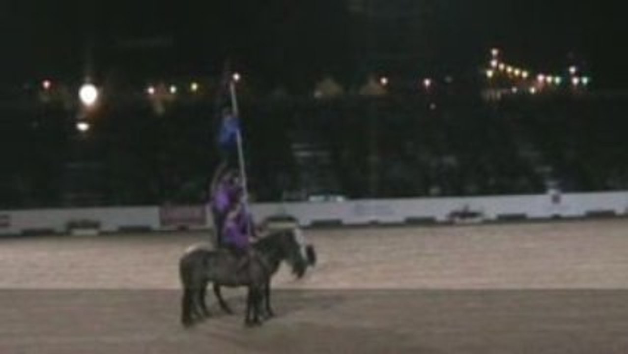 Troupe Patrice Raymond- Equestria 2009 - Extraits