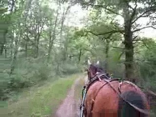 sortie en attelage 1