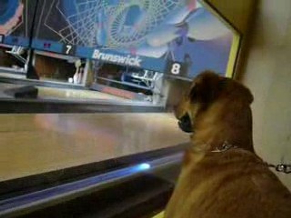 mon bb caramel le fou hihihi!!!!