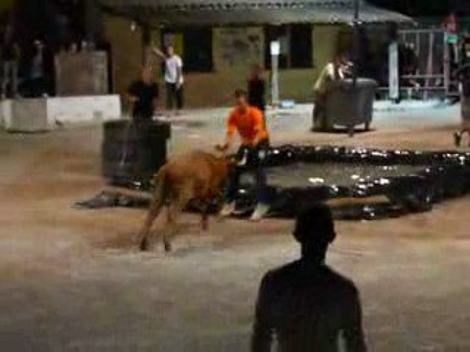 Encierro vic la gardiole