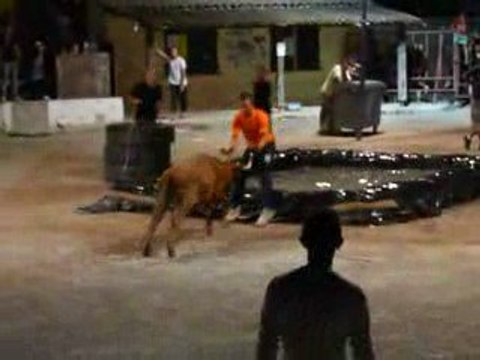 Encierro vic la gardiole