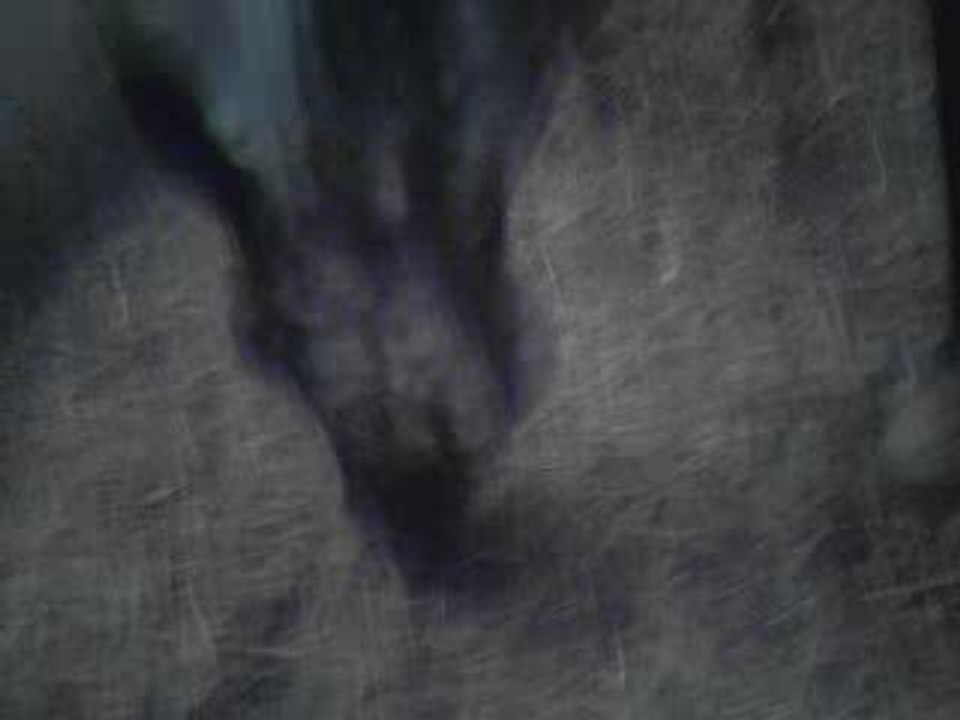 V010809_16.00