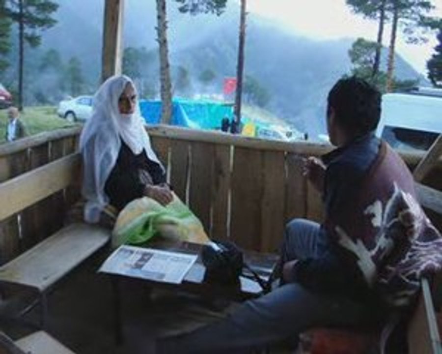 fest 3