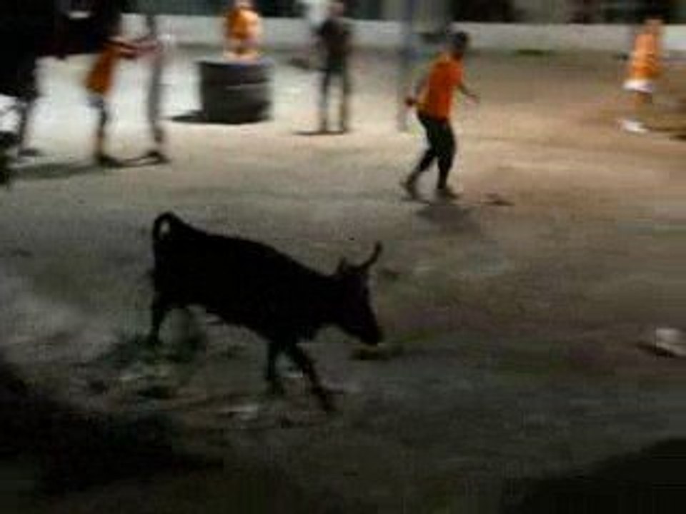 Sa vole au encierro de vic la gardiole