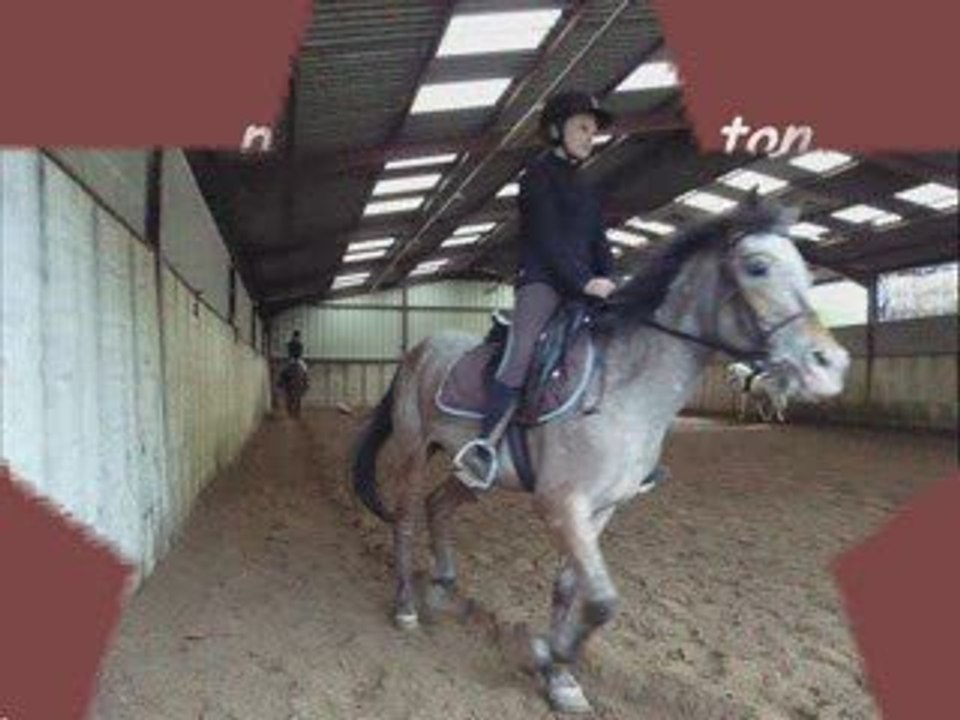 Mon chouchou: Moustic