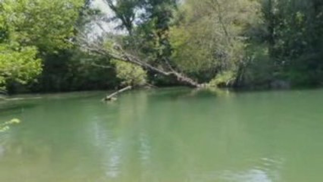 Ballade en kayak sur l'Argens