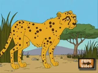 padre de familia: naturaleza asustas