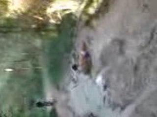 VTT a etrez dans les bois